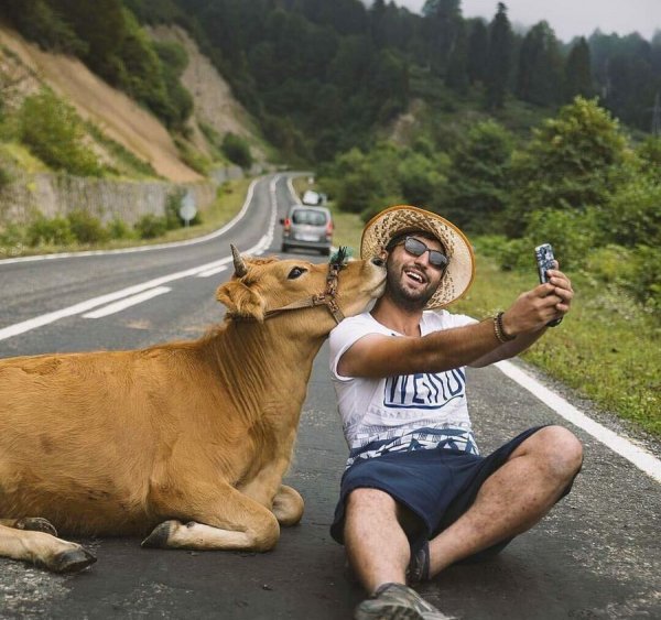 Смешные фотографии