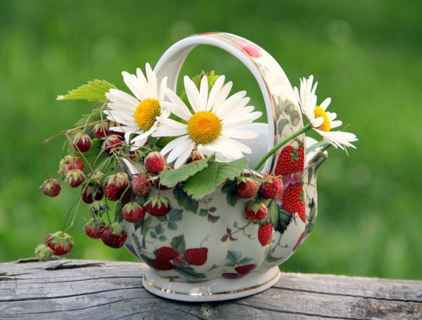 Пожелания с добрым летним утром