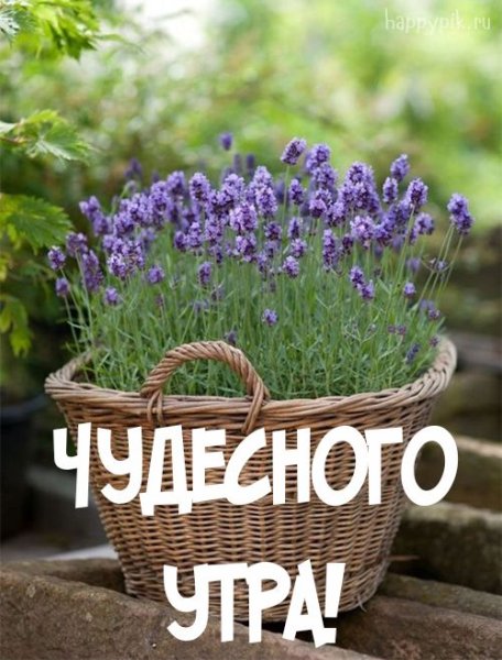 С добрым утром