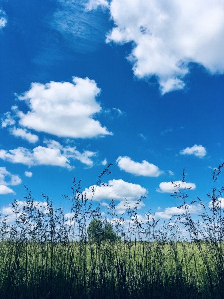 Австралийский фотограф Корске ара