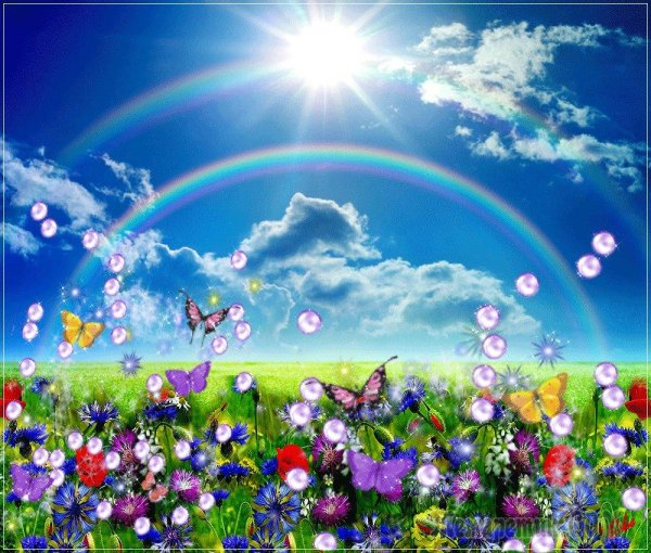 Солнце Радуга цветы