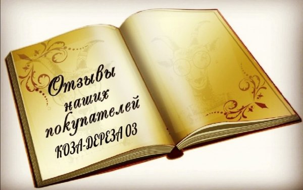 Ваши предложения и пожелания