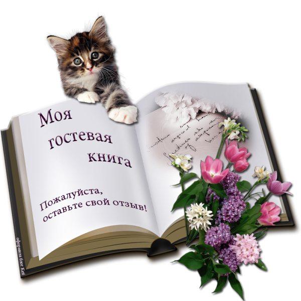 Гостевая книга анимация