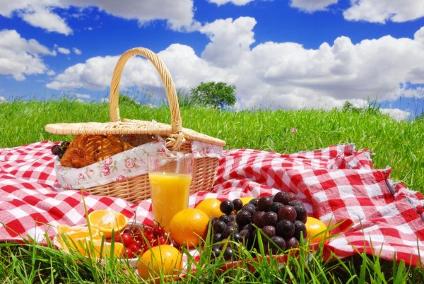 Пикник на природе