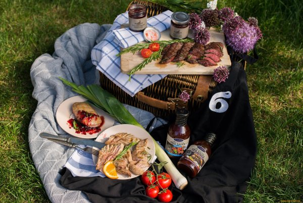 Пикник шашлык на природе