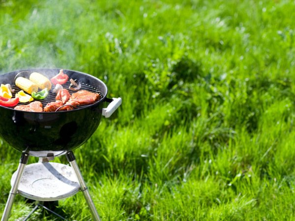 Мангал на природе