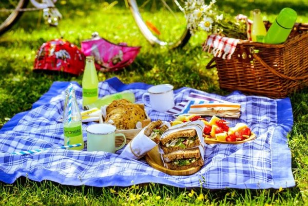Международный день пикника (International Picnic Day)