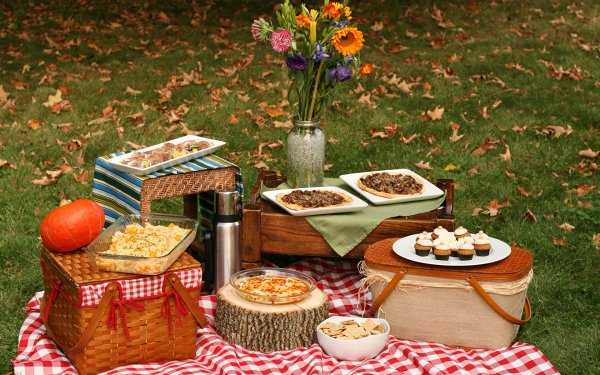 Пикник на природе