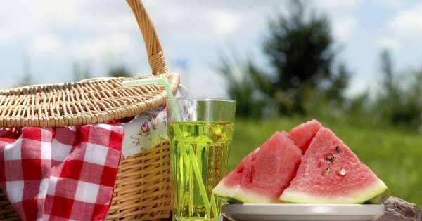 Международный день пикника