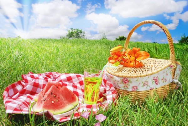Лето пикник