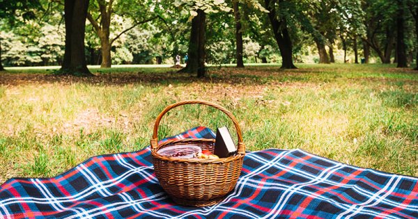 Одеяло с корзиной пикника на природе