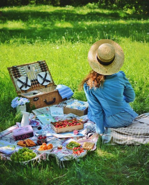 Семья на пикнике Эстетика