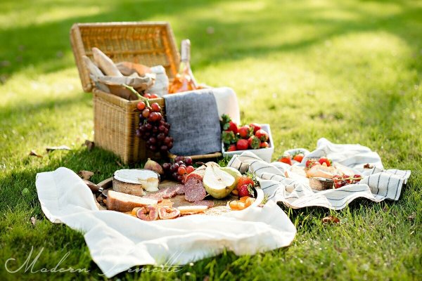 Пикник на природе