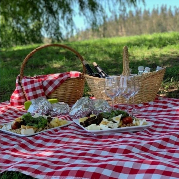 Пикник в лесу