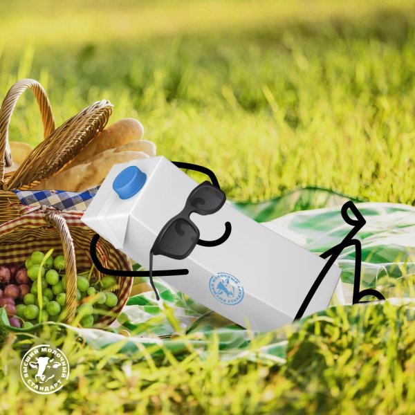 Всемирный день пикника