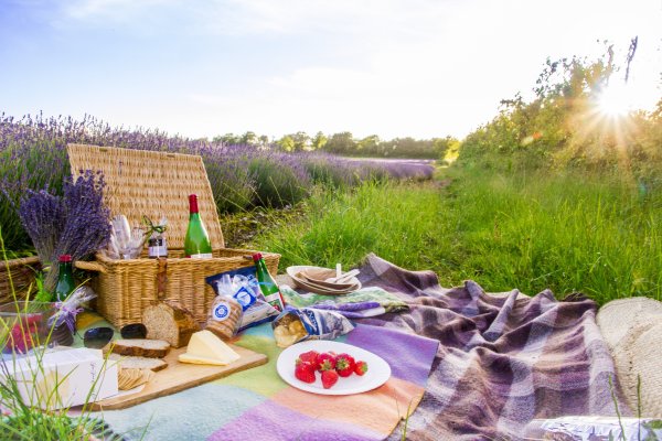 Пикник на природе