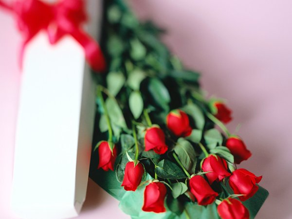 Всемирный день комплимента