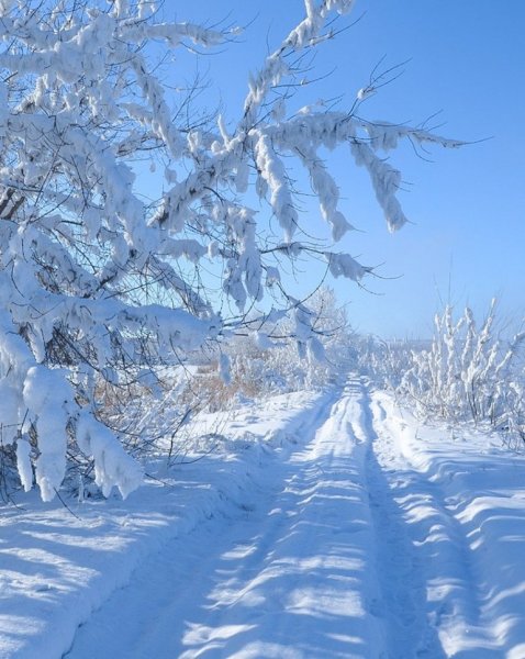 Заснеженный день