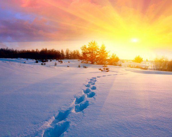 Зимнее поле