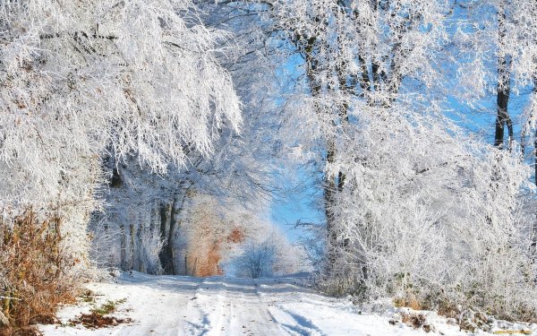 Снежный пейзаж