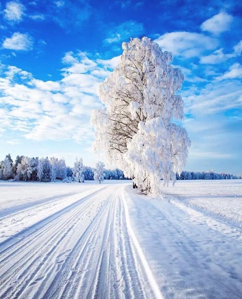 Зимняя природа