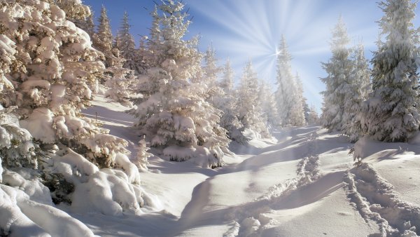 Зима солнце