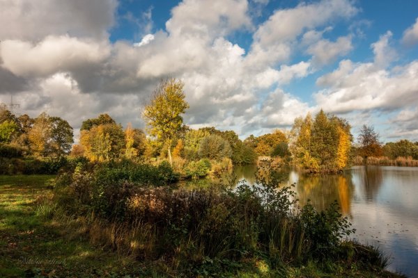 Пейзаж Октябрьский день