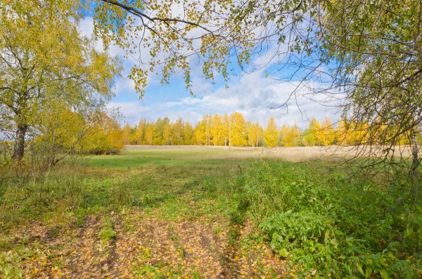 Природа день Октябрьский