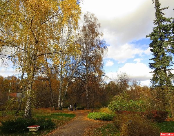 Погожего осеннего дня