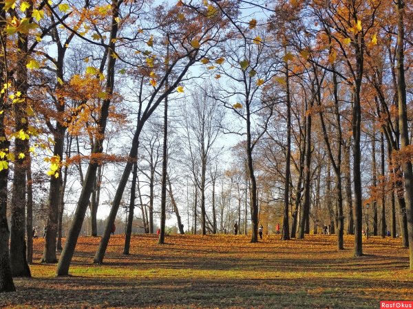 Октябрьская осень