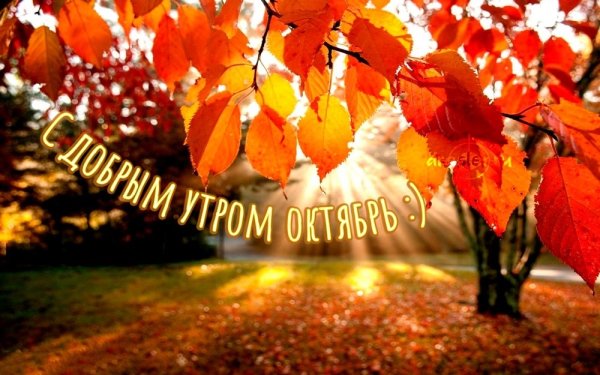 Осенние открытки с пожеланиями приветами