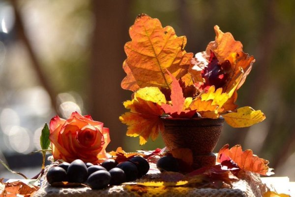 Осеннее утро