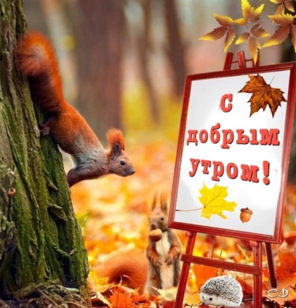 Веселое Октябрьское утро