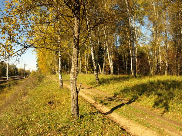 Октябрьская осень