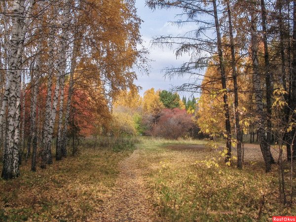 С праздником Октябрьской революции 7 ноября