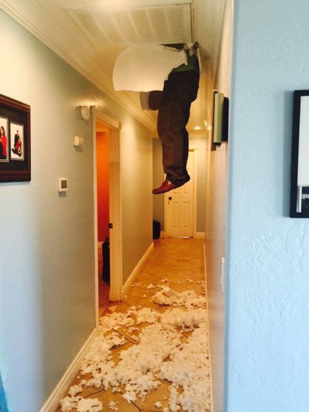 Неудачный день в картинках