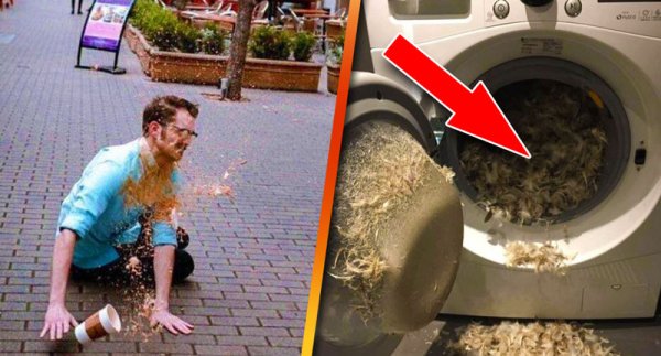 Неудачный день в картинках