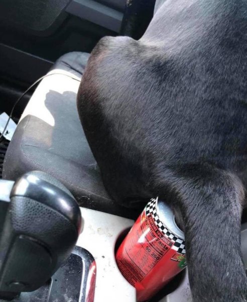 Неудачный день в картинках с надписями