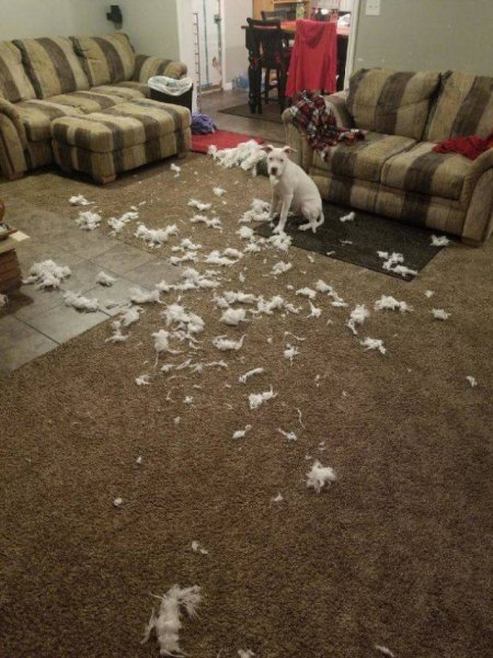 Неудачные ситуации