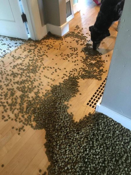 Странные смешные ситуации