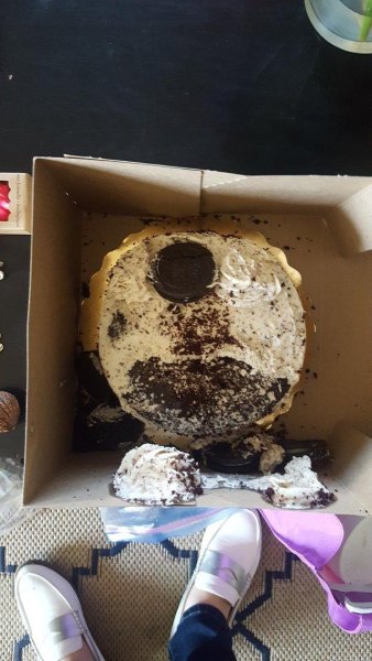 Неудачный день в картинках