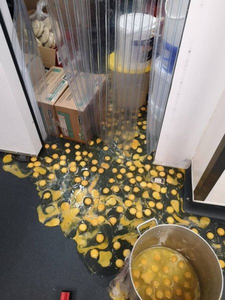 Неудачный день в картинках