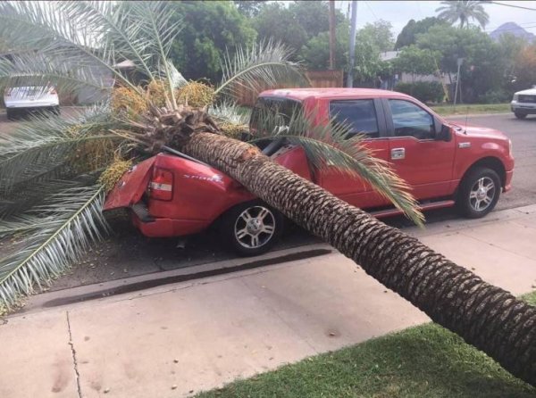 Смешные казусы из жизни