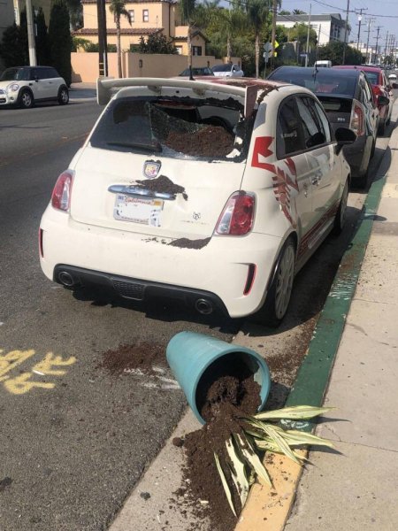 Неожиданные происшествия имевшие