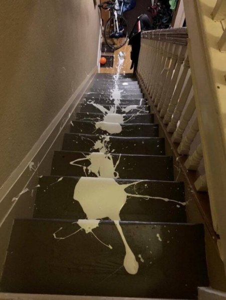 Неудачный день в картинках