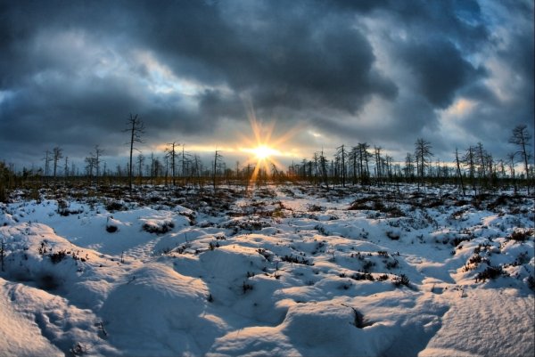 Апатиты в тундре