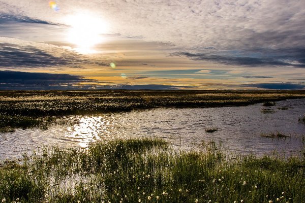 Полярный день в Заполярье