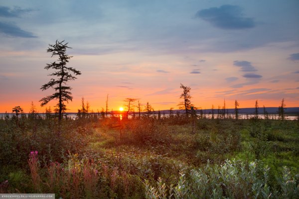 Полярный день