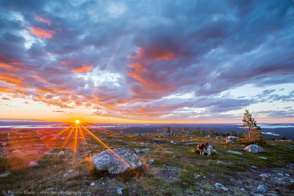 Тундра Лапландии
