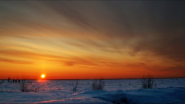 Полярный день в тундре